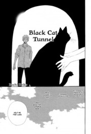 Black Cat Tunnel